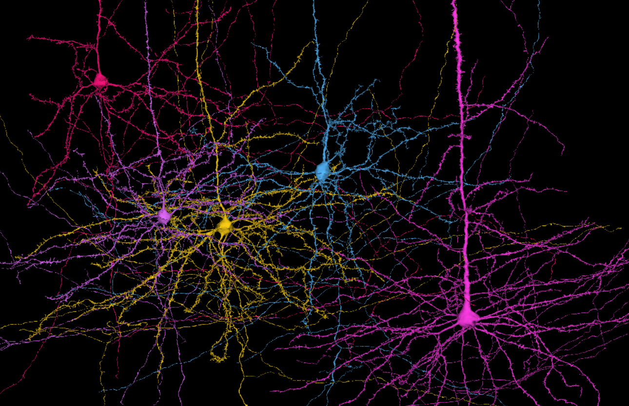 Enterprise Applications