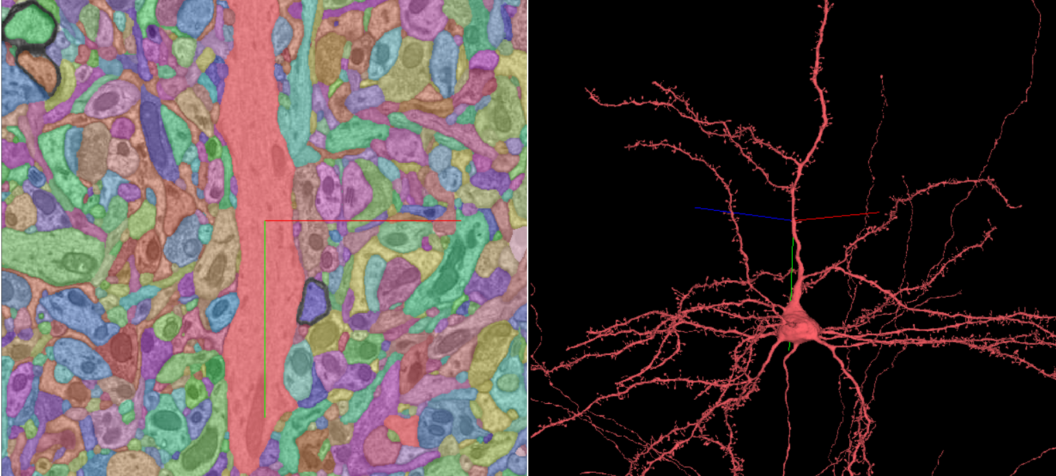 AI-Powered Solutions