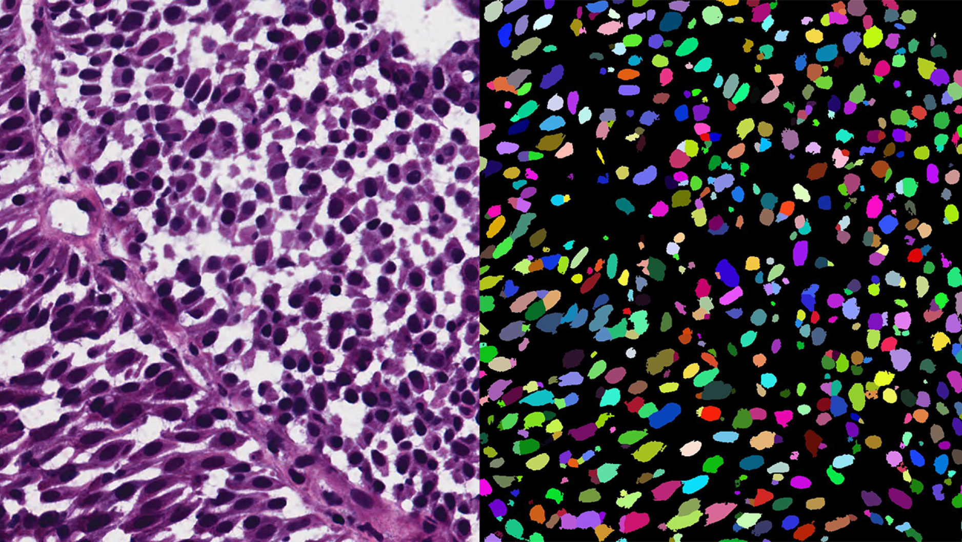 Scientific Image Annotation