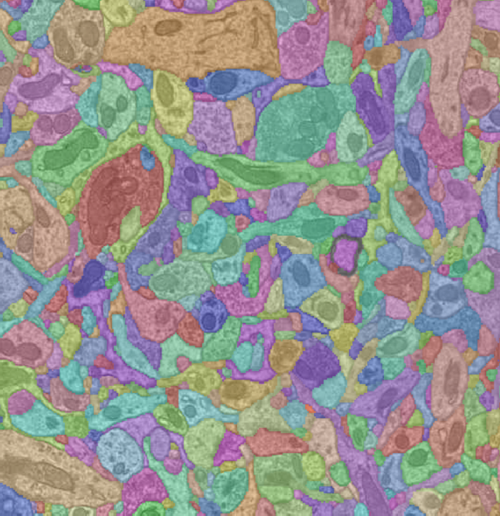 Data Analytics Tools